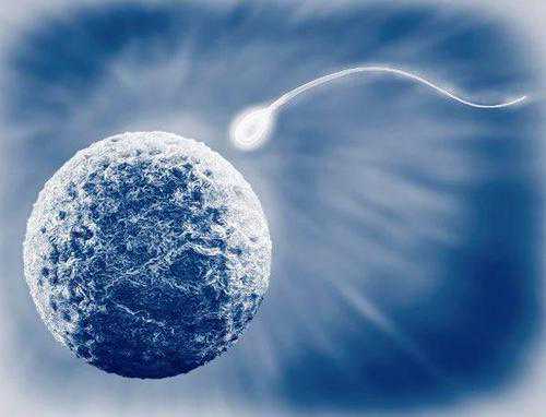 铜梁借卵生子单身_做试管婴儿是否要冷冻胚胎？看看医生怎么说！