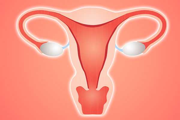 宿州借卵生子成功率非常高_女性子宫畸形可以做试管婴儿吗？子宫畸形有哪几