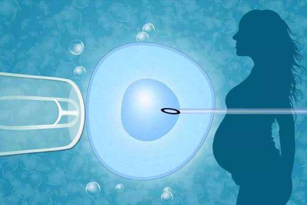河西借卵子试管流程_河西借卵怀孕经历_试管移植两个胚胎，成功怀孕，两个孕