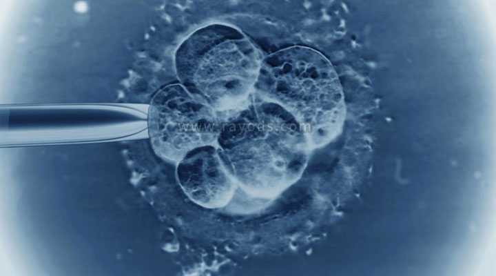 大兴安岭地借卵自怀的最高年龄_试管婴儿第五天的4bb囊胚质量到底怎么样？
