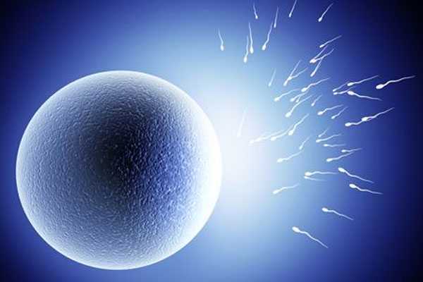 临沧39岁卵试管受孕的概率_试管婴儿中为了“取得好精”，男性要做哪些准备？